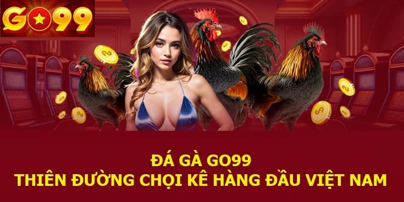 Khám phá về môn đá gà Go99