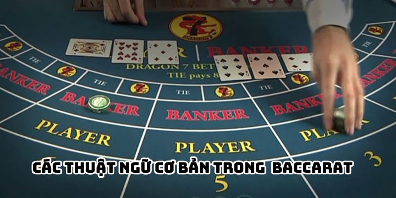 Các thuật ngữ cơ bản trong luật chơi Baccarat