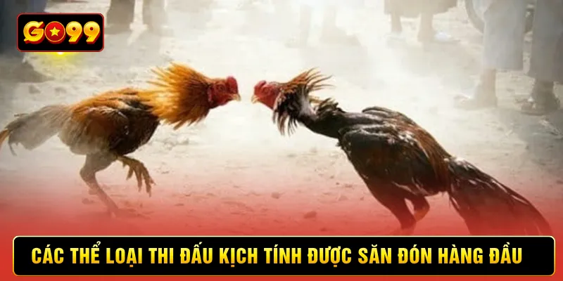 Các thể loại thi đấu kịch tính được săn đón hàng đầu Các thể loại thi đấu kịch tính được săn đón hàng đầu