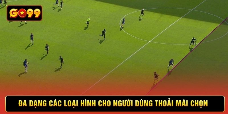 Đa dạng các loại hình cho người dùng thoải mái chọn Đa dạng các loại hình cho người dùng thoải mái chọn