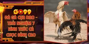 Đá gà cựa dao - Trải nghiệm 7 hình thức cá cược đỉnh cao
