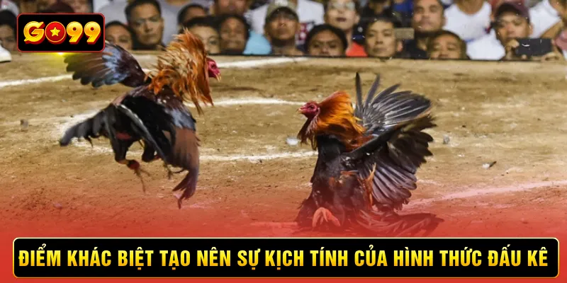 Điểm khác biệt tạo nên sự kịch tính của hình thức đấu kê Điểm khác biệt tạo nên sự kịch tính của hình thức đấu kê