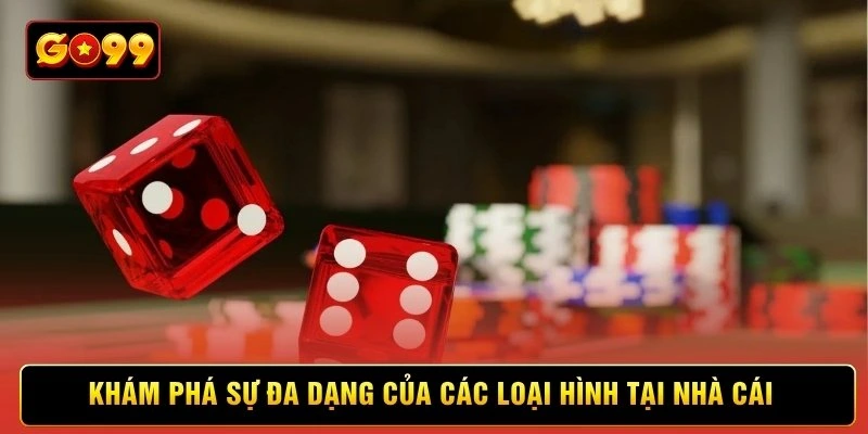 Khám phá sự đa dạng của các loại hình tại nhà cái