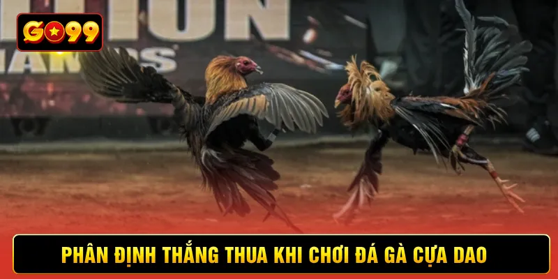 Phân định thắng thua khi chơi đá gà cựa dao Phân định thắng thua khi chơi đá gà cựa dao